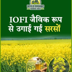 Naturally Grown Black Mustard Oil