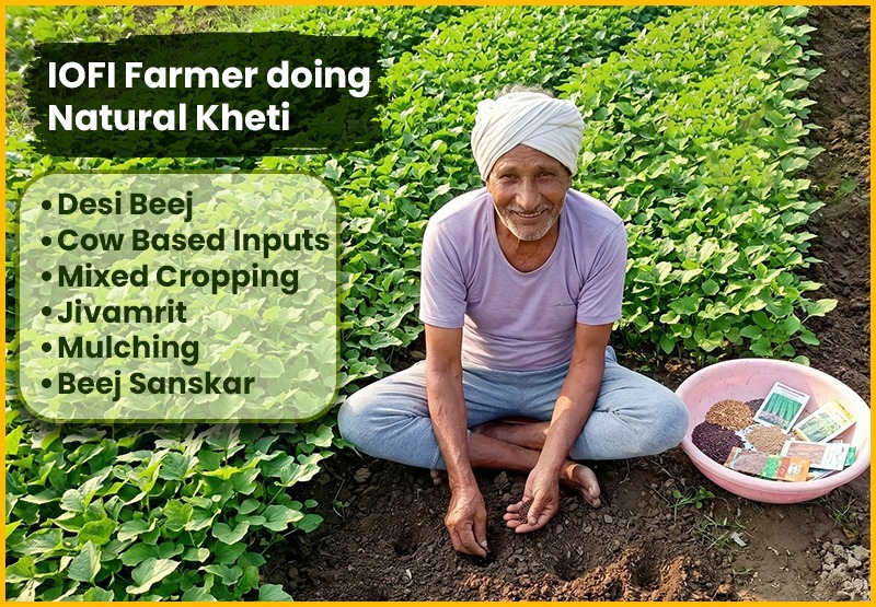 How to Start Organic Farming